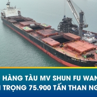 HOẠT ĐỘNG DỠ HÀNG THAN NGA TỪ TÀU MV SHUN FU WANG