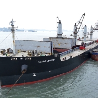 HOẠT ĐỘNG LOAD HÀNG TỪ TÀU MV NORD KITAN – 55.000 TẤN THAN INDONESIA 