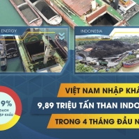 THỊ TRƯỜNG THAN NHẬP KHẨU: INDONESIA VẪN DẪN ĐẦU