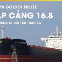 TÀU MV GOLDEN FREEZE ĐÃ CẬP CẢNG HÒN MIỀU