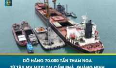  HOẠT ĐỘNG DỠ HÀNG 70.000 TẤN THAN NGA TỪ TÀU MV MUXI TẠI CẨM PHẢ, QUẢNG NINH