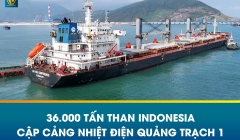  TÀU MV AN HAI CONFIDENCE DỠ 36.000 TẤN THAN TẠI NHIỆT ĐIỆN QUẢNG TRẠCH 1