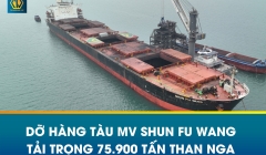 HOẠT ĐỘNG DỠ HÀNG THAN NGA TỪ TÀU MV SHUN FU WANG