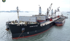 HOẠT ĐỘNG LOAD HÀNG TỪ TÀU MV NORD KITAN – 55.000 TẤN THAN INDONESIA 