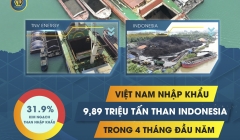 THỊ TRƯỜNG THAN NHẬP KHẨU: INDONESIA VẪN DẪN ĐẦU