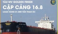 TÀU MV GOLDEN FREEZE ĐÃ CẬP CẢNG HÒN MIỀU