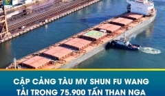  Tàu MV SHUN FU WANG cập cảng – Nhập khẩu 75.900 tấn than Nga