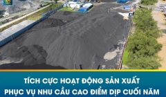 Tích cực sản xuất – Chủ động phục vụ mùa cao điểm cuối năm
