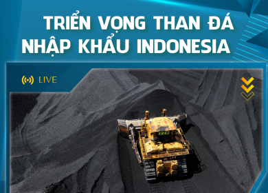 TRIỂN VỌNG TƯƠNG LAI CỦA THAN NHẬP KHẨU INDONESIA