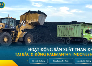 TNV ENERGY CORP - HOẠT ĐỘNG SẢN XUẤT THAN ĐÁ TẠI BẮC VÀ ĐÔNG KALIMANTAN