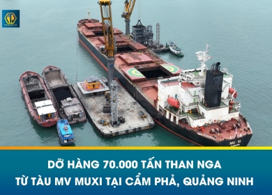 HOẠT ĐỘNG DỠ HÀNG 70.000 TẤN THAN NGA TỪ TÀU MV MUXI TẠI CẨM PHẢ, QUẢNG NINH