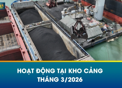 03/2026 HOẠT ĐỘNG TẠI KHO CẢNG TNV HẢI DƯƠNG