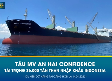MV AN HAI CONFIDENCE DỰ KIẾN DỠ 36.000 TẤN THAN INDONESIA TẠI CẢNG HÒN LA