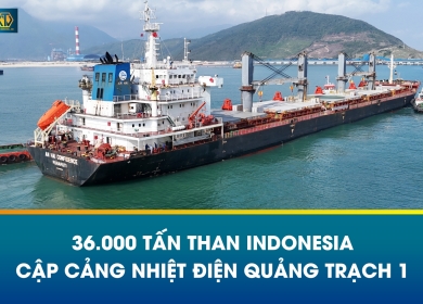  TÀU MV AN HAI CONFIDENCE DỠ 36.000 TẤN THAN TẠI NHIỆT ĐIỆN QUẢNG TRẠCH 1