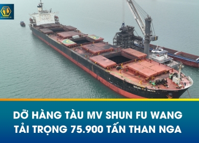 HOẠT ĐỘNG DỠ HÀNG THAN NGA TỪ TÀU MV SHUN FU WANG