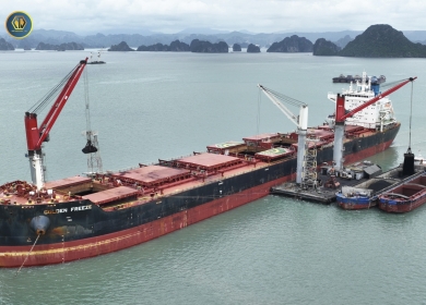 LOAD HÀNG TÀU MV GOLDEN FREEZE TẢI TRỌNG 81.000 TẤN THAN ÚC