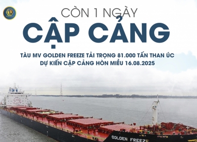 CÒN 1 NGÀY CẬP CẢNG TÀU MV GOLDEN FREEZE TẢI TRỌNG 81.000 TẤN THAN ÚC