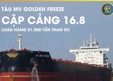 TÀU MV GOLDEN FREEZE ĐÃ CẬP CẢNG HÒN MIỀU
