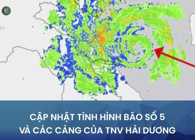 TNV HẢI DƯƠNG CHỦ ĐỘNG ỨNG PHÓ VỚI DIỄN BIẾN BÃO SỐ 5