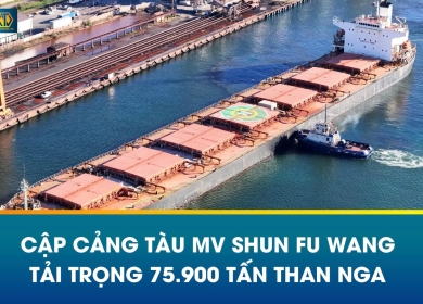  Tàu MV SHUN FU WANG cập cảng – Nhập khẩu 75.900 tấn than Nga