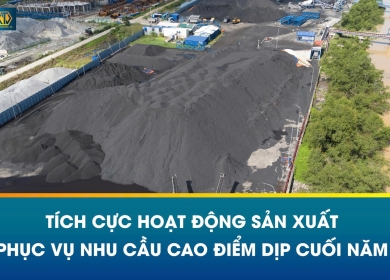 Tích cực sản xuất – Chủ động phục vụ mùa cao điểm cuối năm