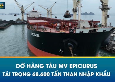 DỠ HÀNG TÀU MV EPICURUS VỚI TẢI TRỌNG 68.600 TẤN THAN NHẬP KHẨU