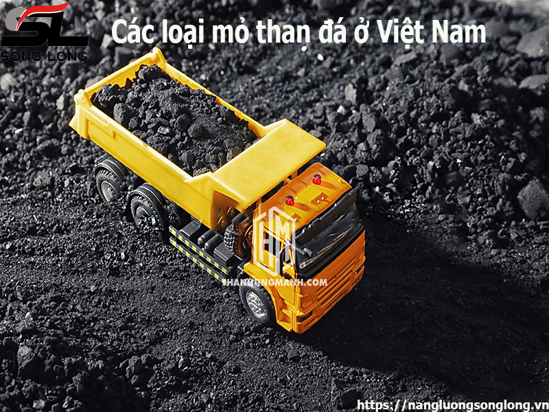 cac-loai-than-da-o-viet-nam