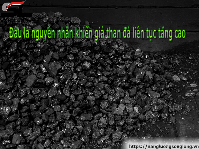 dau-la-nguyen-nhan-khien-gia-than-da-lien-tuc-tang-cao