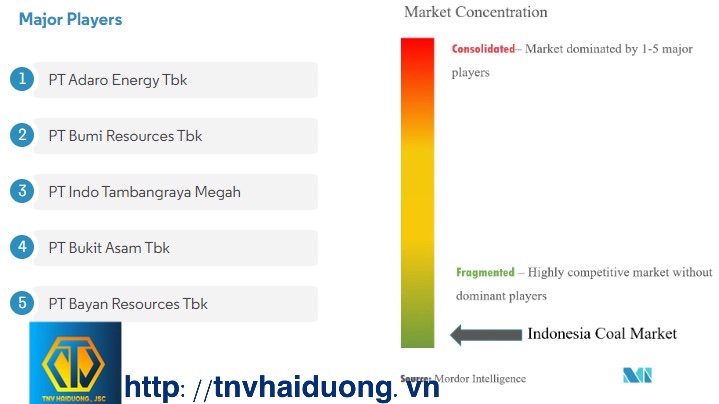 Tỷ lệ thị phần của các mỏ than chính ở Indonesia