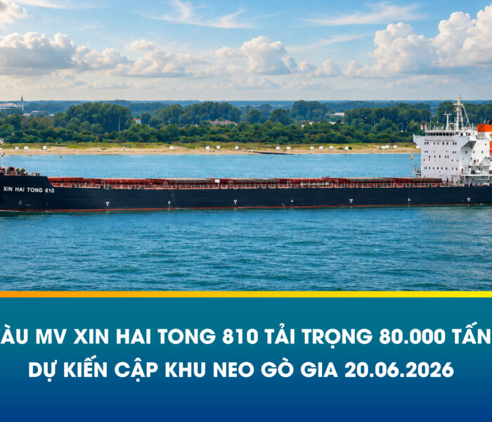MV XIN HAI TONG 810 TẢI TRỌNG 80.000 TẤN THAN NHẬP KHẨU PHỤC VỤ DỰ ÁN NHIỆT ĐIỆN KHU VỰC MIỀN NAM